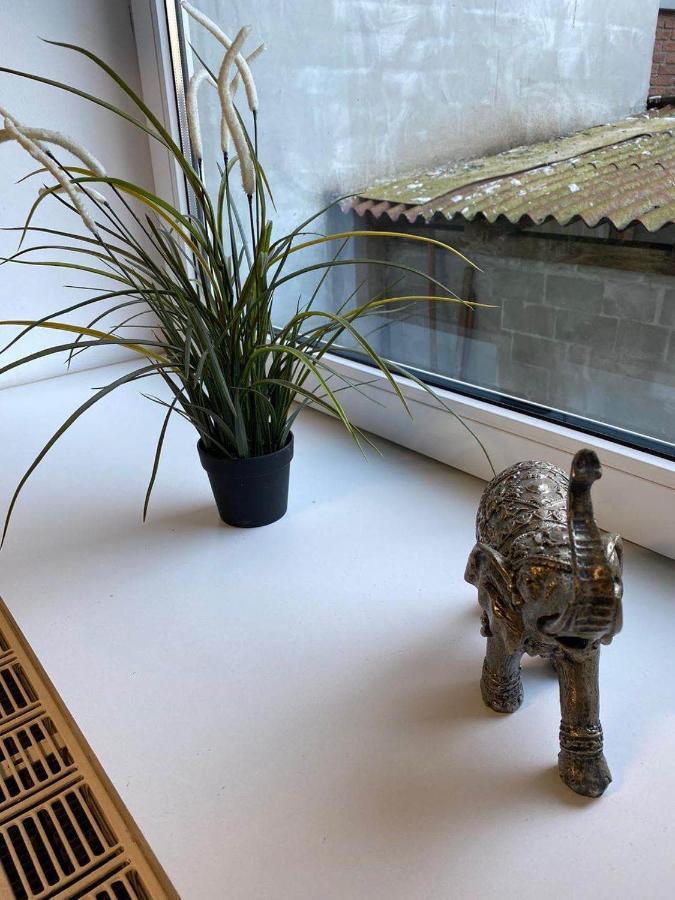 Praktische City Apartments Direkt Am Hauptbahnhof 노이뮌스터 외부 사진
